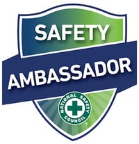 Safety_Ambassador_Logo
