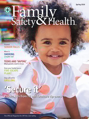 fsh.spring19.cover